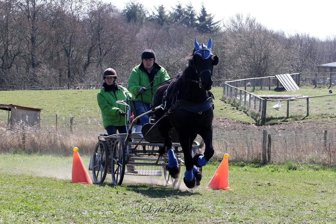 Opvisning på børneinstitutionen Midtgård i Esbjerg. billede 10