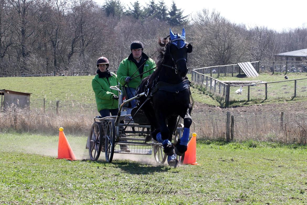 Opvisning på børneinstitutionen Midtgård i Esbjerg. billede 11