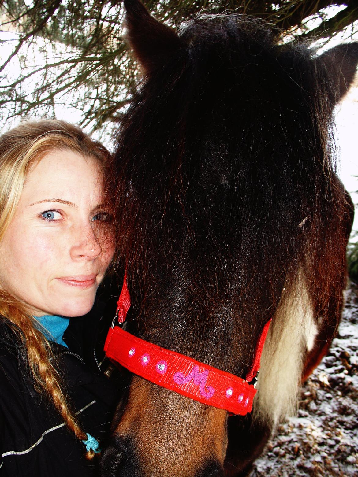  hjemmelavet lammeunderlag, stangmåler, flecetæppe, regndækken, rebgrime, mm.  - Prinsessepynt på Maddie´s grime. billede 3