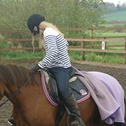 Mathilde, Klara, Donna og Laika - 12-05-13 <3