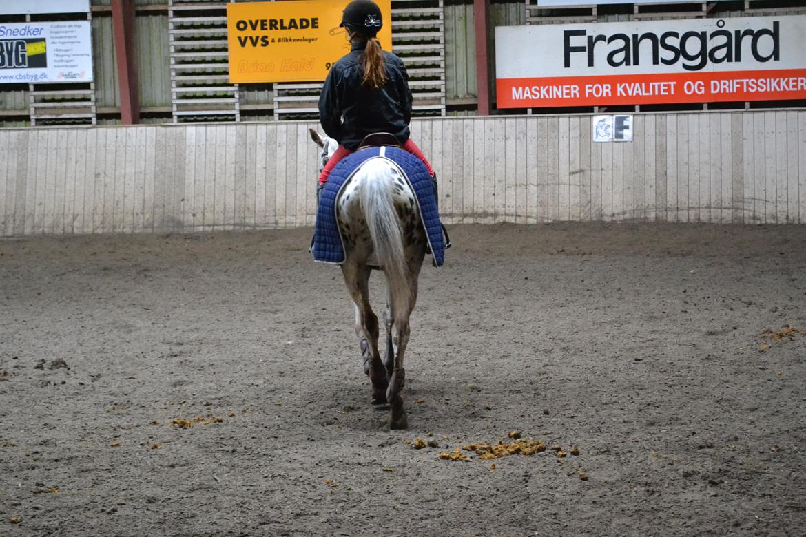 Til Solveig Malmkjær billede 1