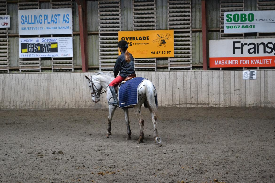 Til Solveig Malmkjær billede 2