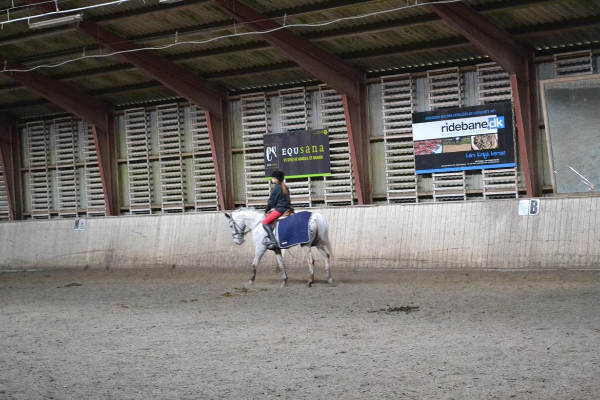 Til Solveig Malmkjær billede 3