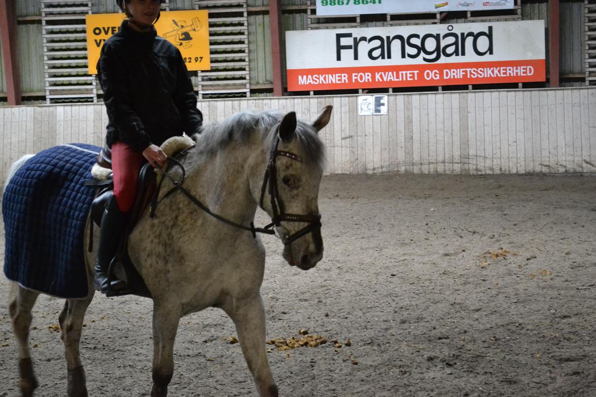 Til Solveig Malmkjær billede 5