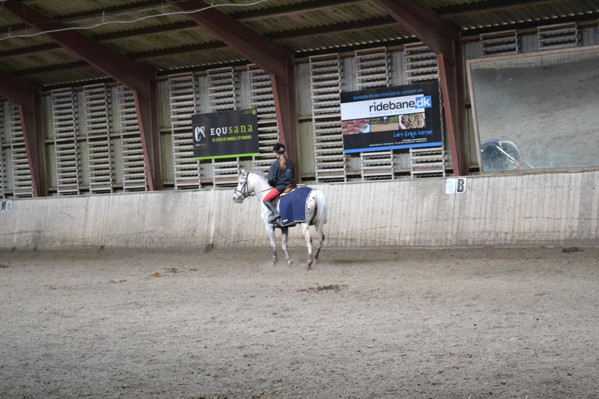 Til Solveig Malmkjær billede 6