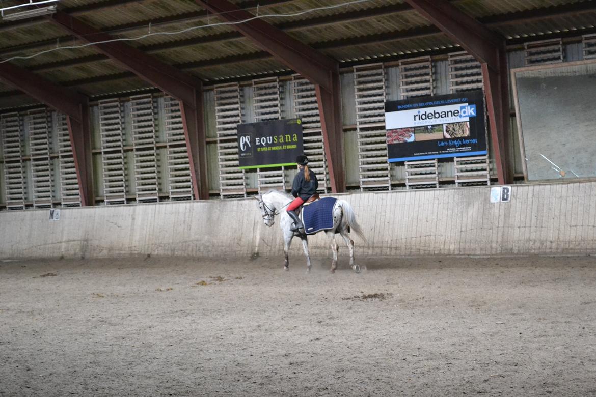 Til Solveig Malmkjær billede 7
