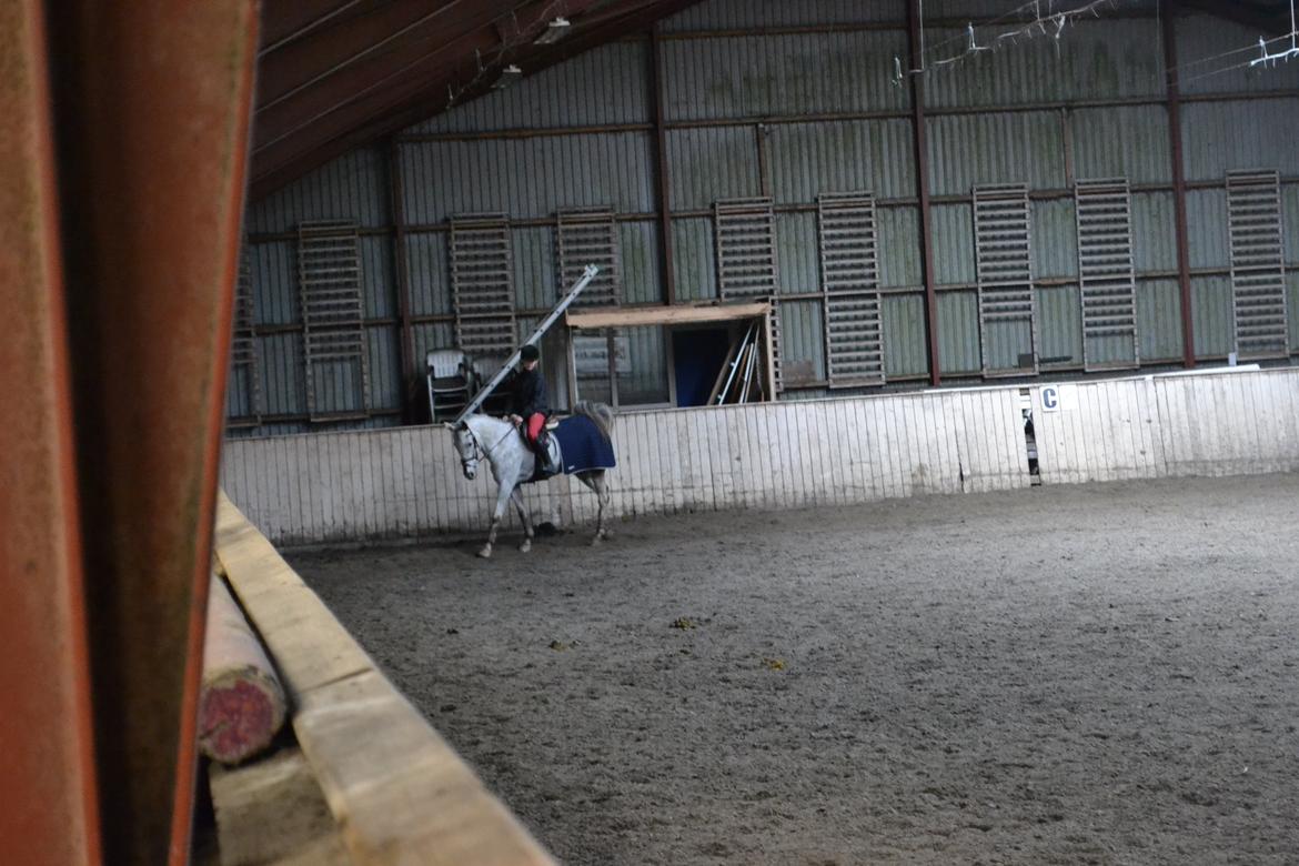 Til Solveig Malmkjær billede 8