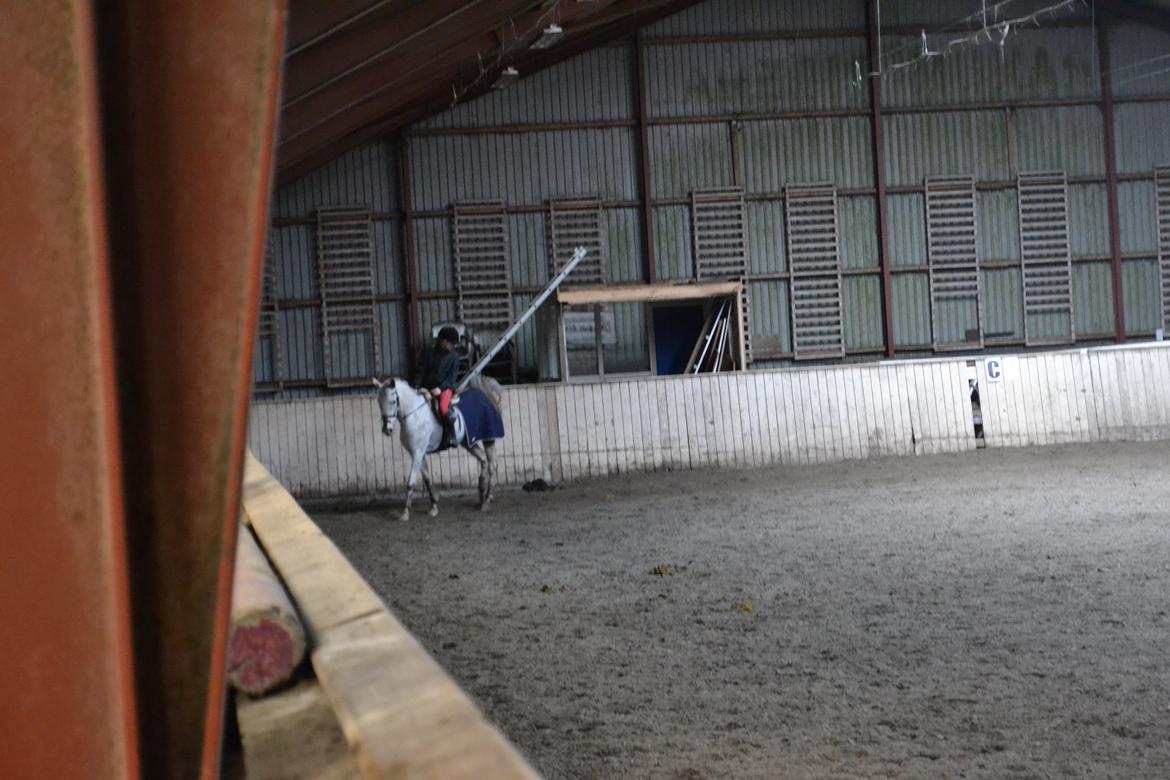 Til Solveig Malmkjær billede 9