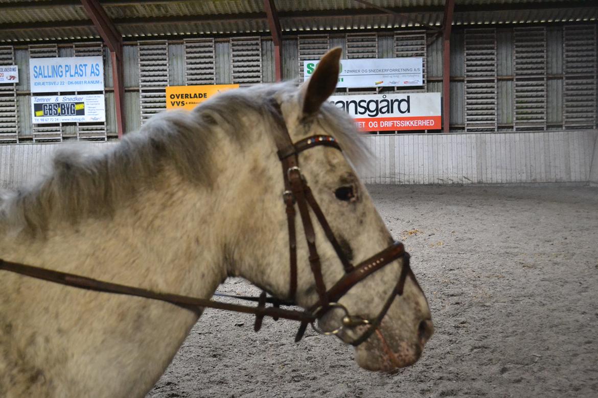 Til Solveig Malmkjær billede 10