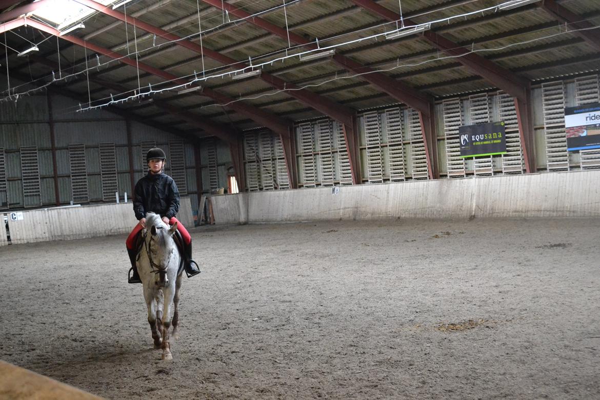 Til Solveig Malmkjær billede 11