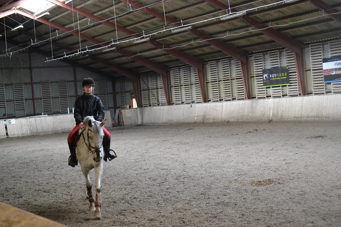 Til Solveig Malmkjær billede 12