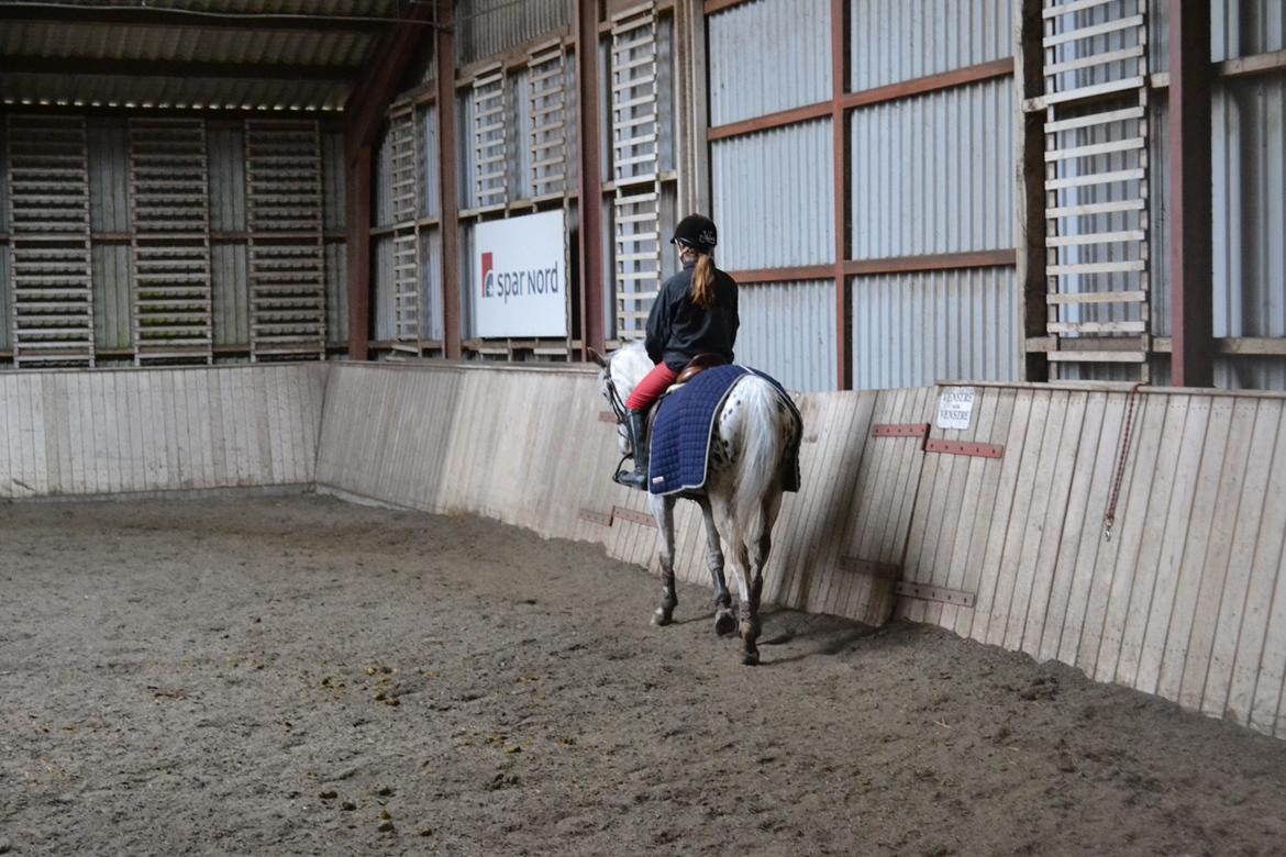 Til Solveig Malmkjær billede 14