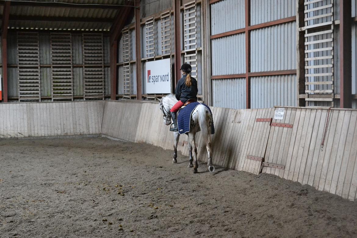 Til Solveig Malmkjær billede 15