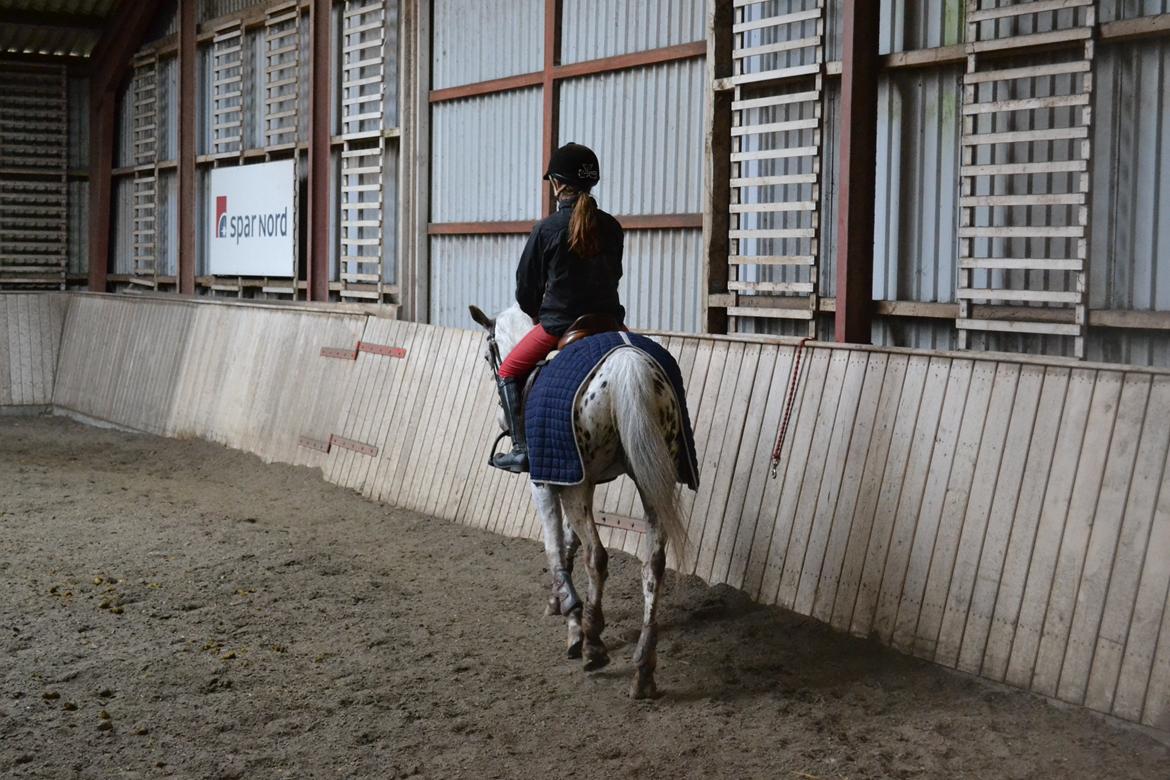 Til Solveig Malmkjær billede 16