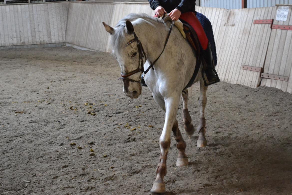 Til Solveig Malmkjær billede 17