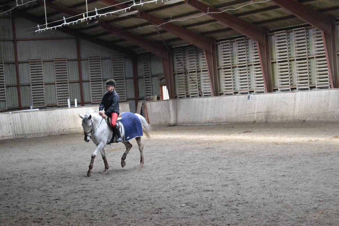 Til Solveig Malmkjær billede 18