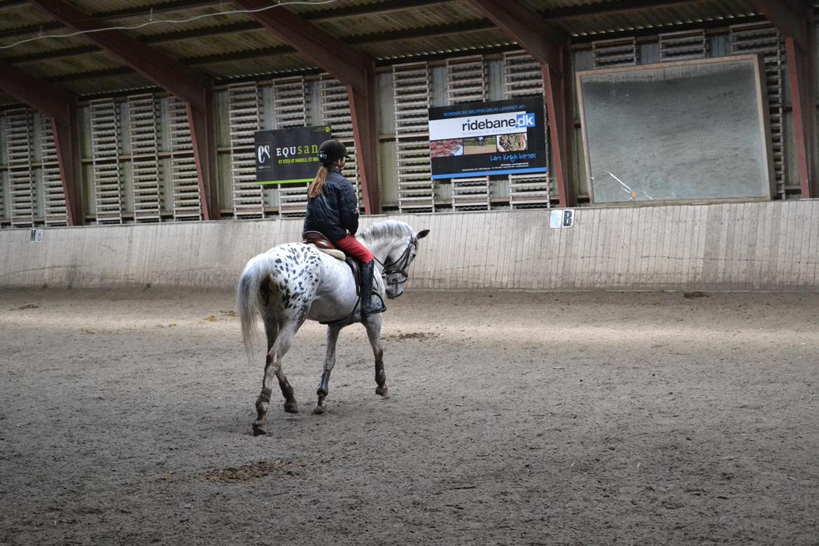 Til Solveig Malmkjær billede 19