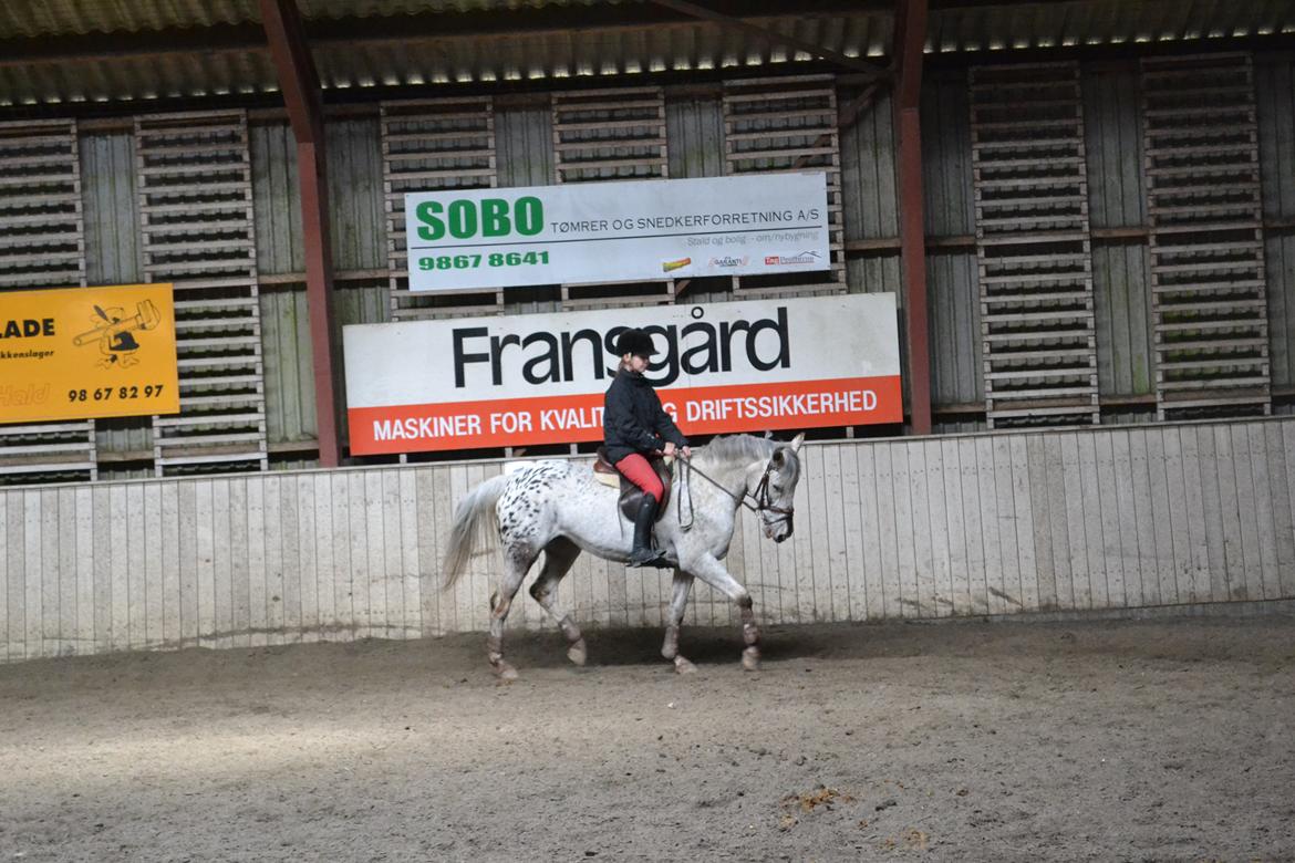 Til Solveig Malmkjær billede 20