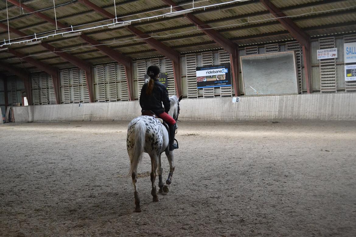 Til Solveig Malmkjær billede 21