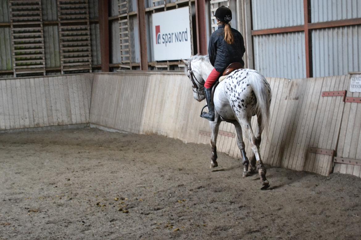 Til Solveig Malmkjær billede 22