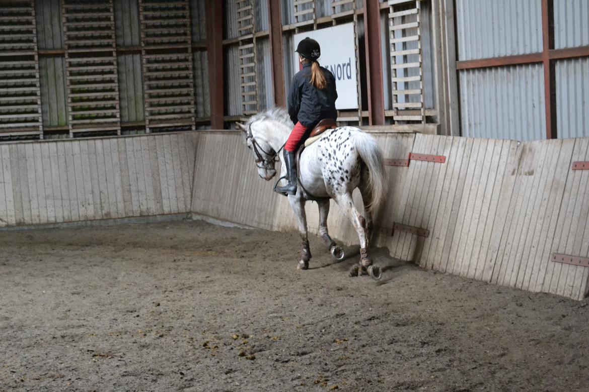 Til Solveig Malmkjær billede 23