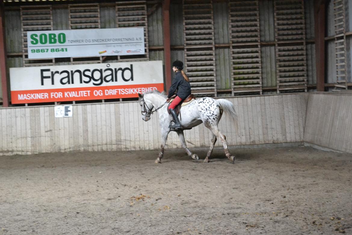 Til Solveig Malmkjær billede 24