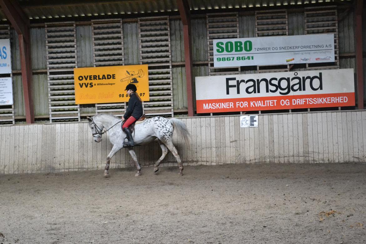 Til Solveig Malmkjær billede 25