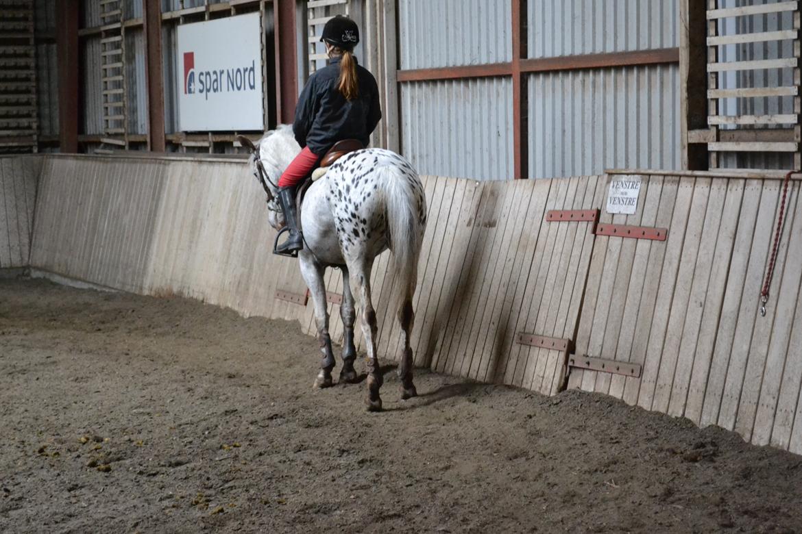 Til Solveig Malmkjær billede 26