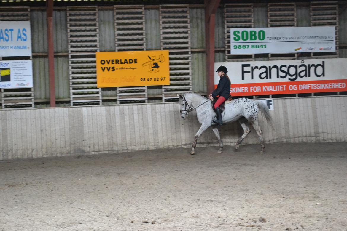 Til Solveig Malmkjær billede 27