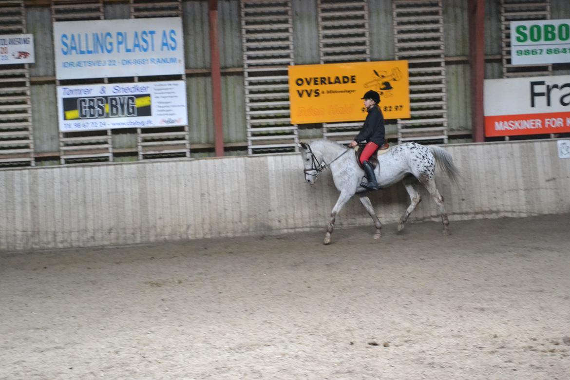 Til Solveig Malmkjær billede 28