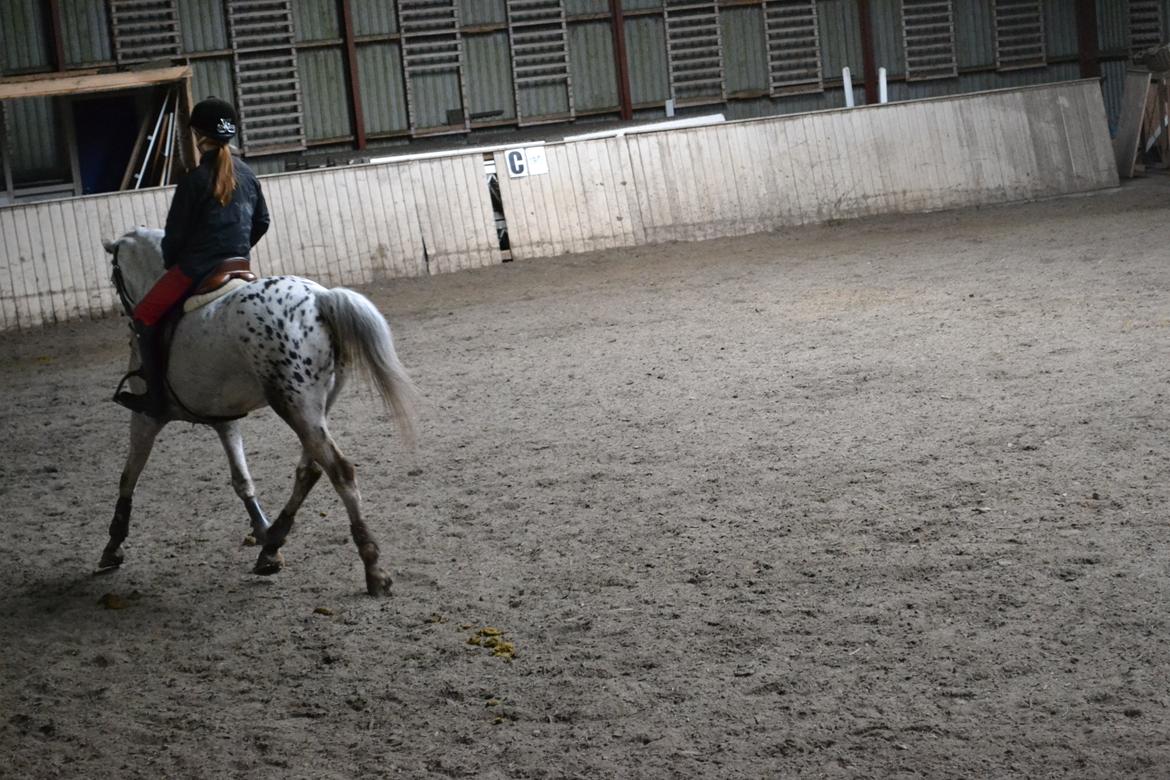 Til Solveig Malmkjær billede 30