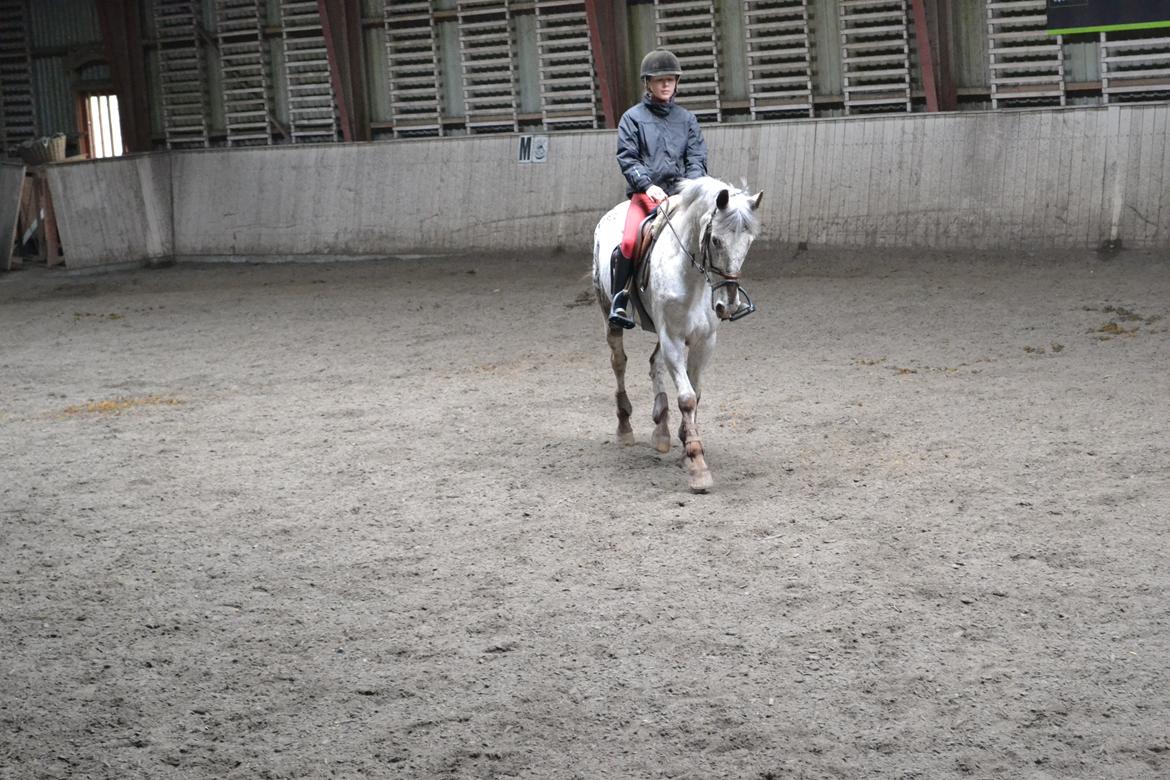 Til Solveig Malmkjær billede 31