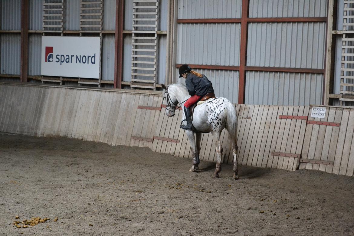 Til Solveig Malmkjær billede 32