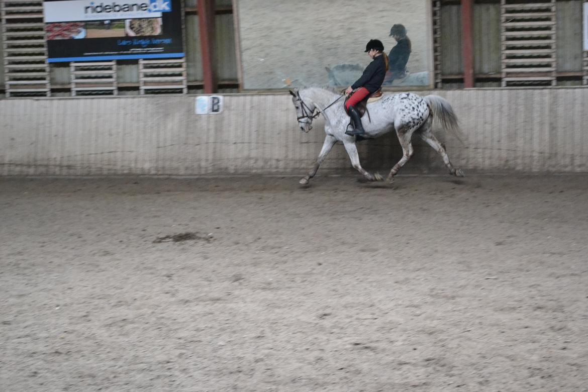 Til Solveig Malmkjær billede 33