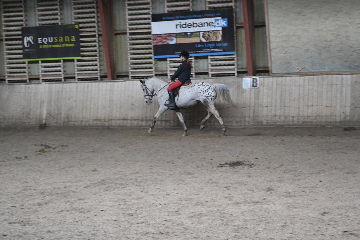 Til Solveig Malmkjær billede 34