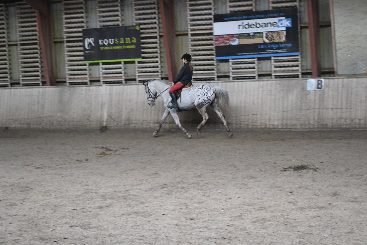 Til Solveig Malmkjær billede 35