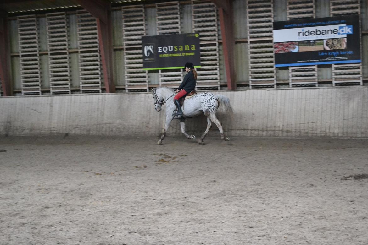 Til Solveig Malmkjær billede 36