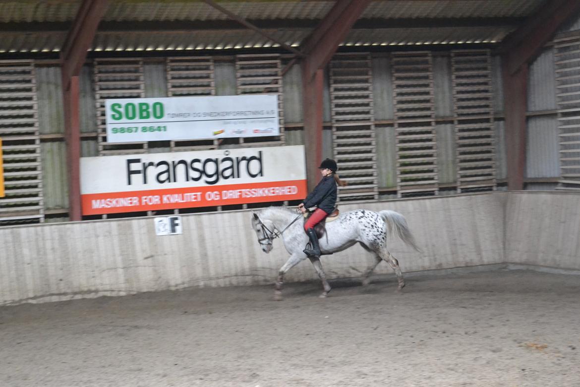 Til Solveig Malmkjær billede 37