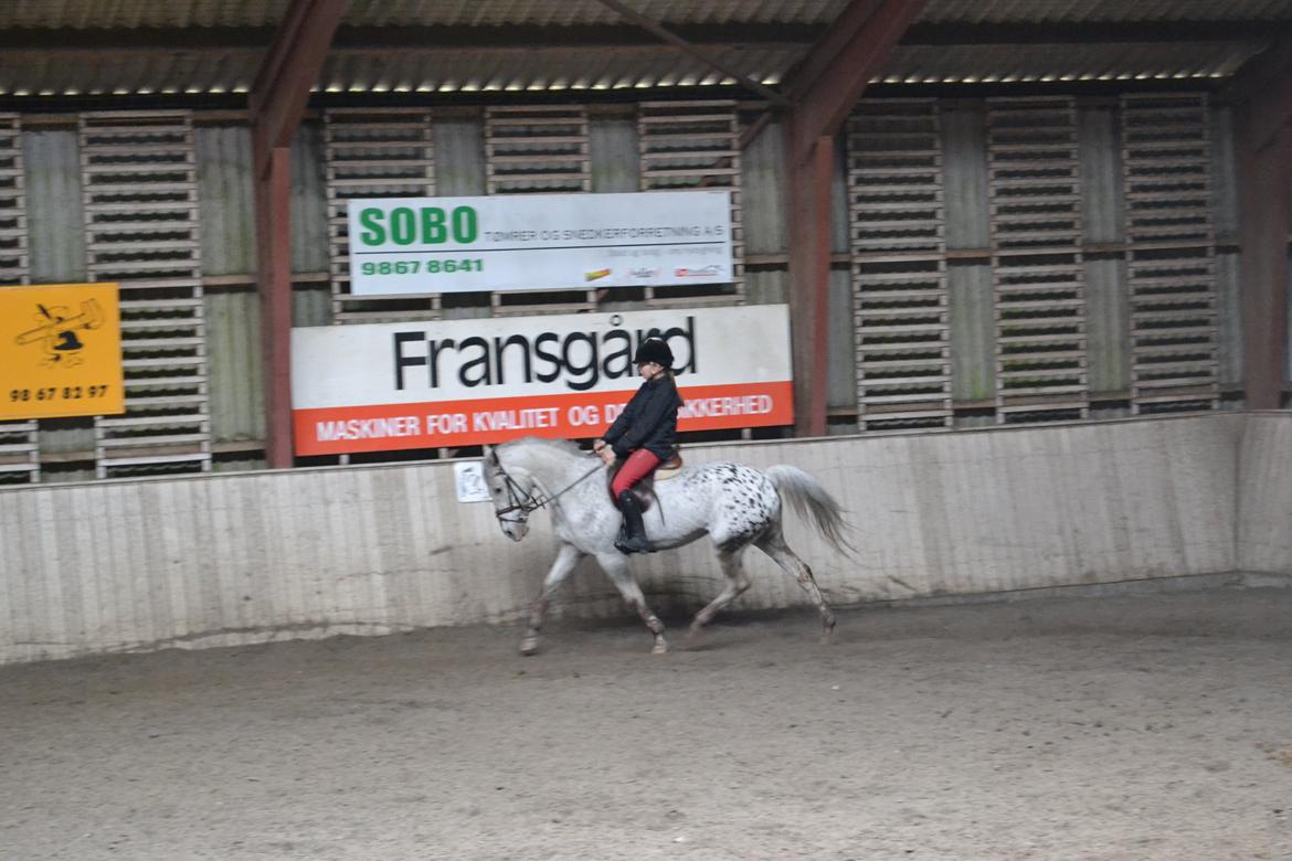 Til Solveig Malmkjær billede 38