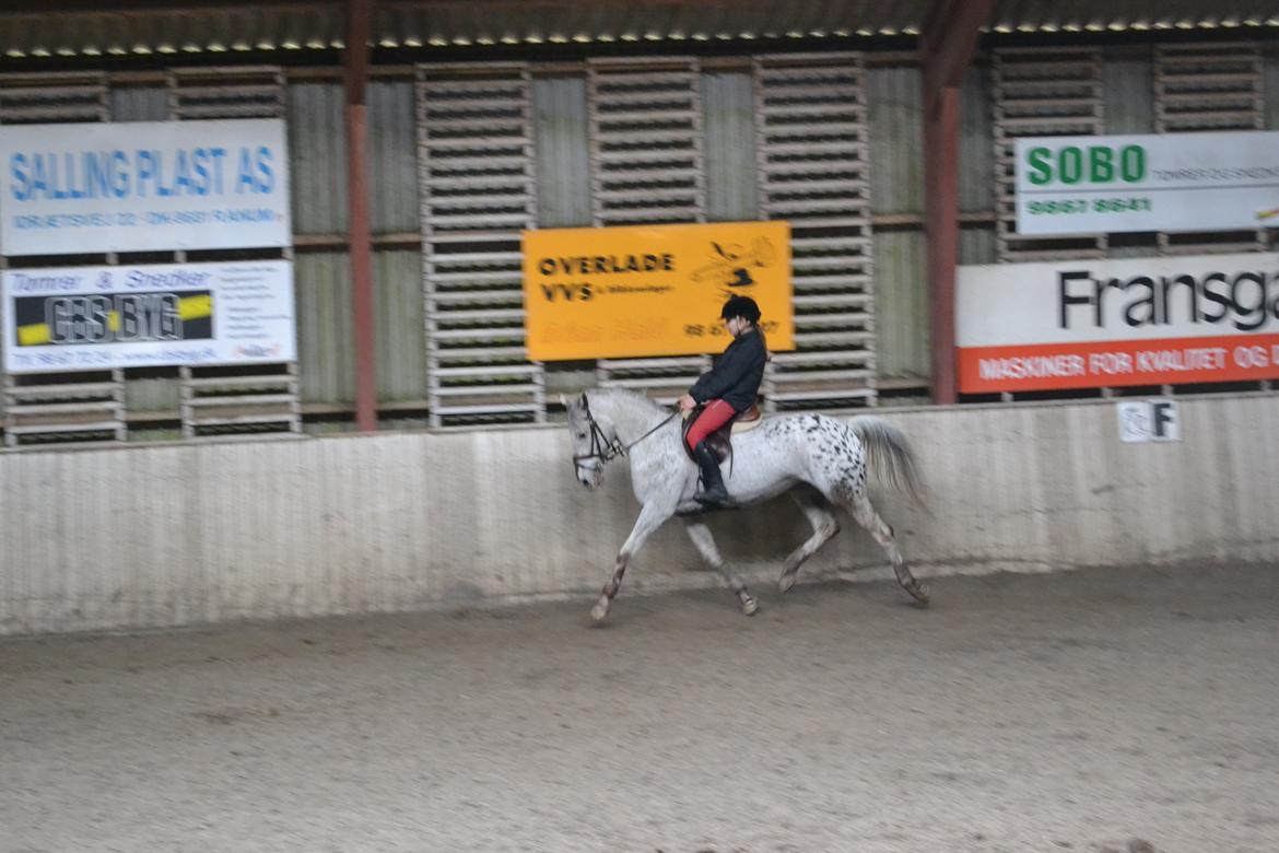 Til Solveig Malmkjær billede 39