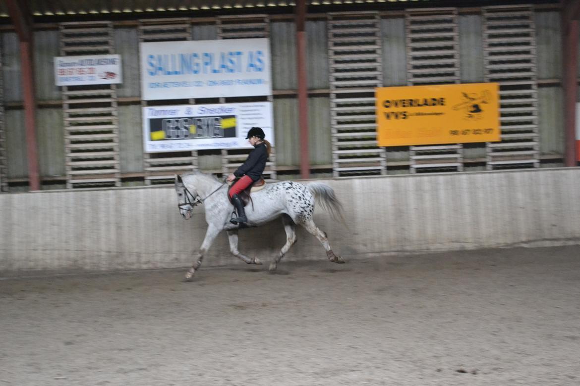 Til Solveig Malmkjær billede 40