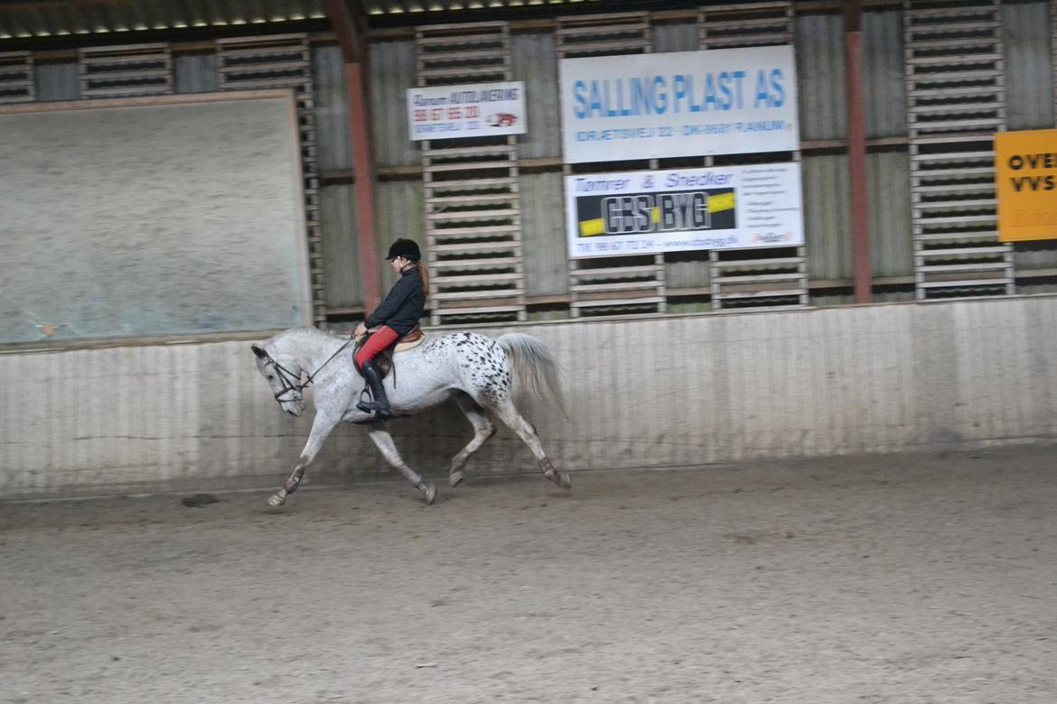 Til Solveig Malmkjær billede 41