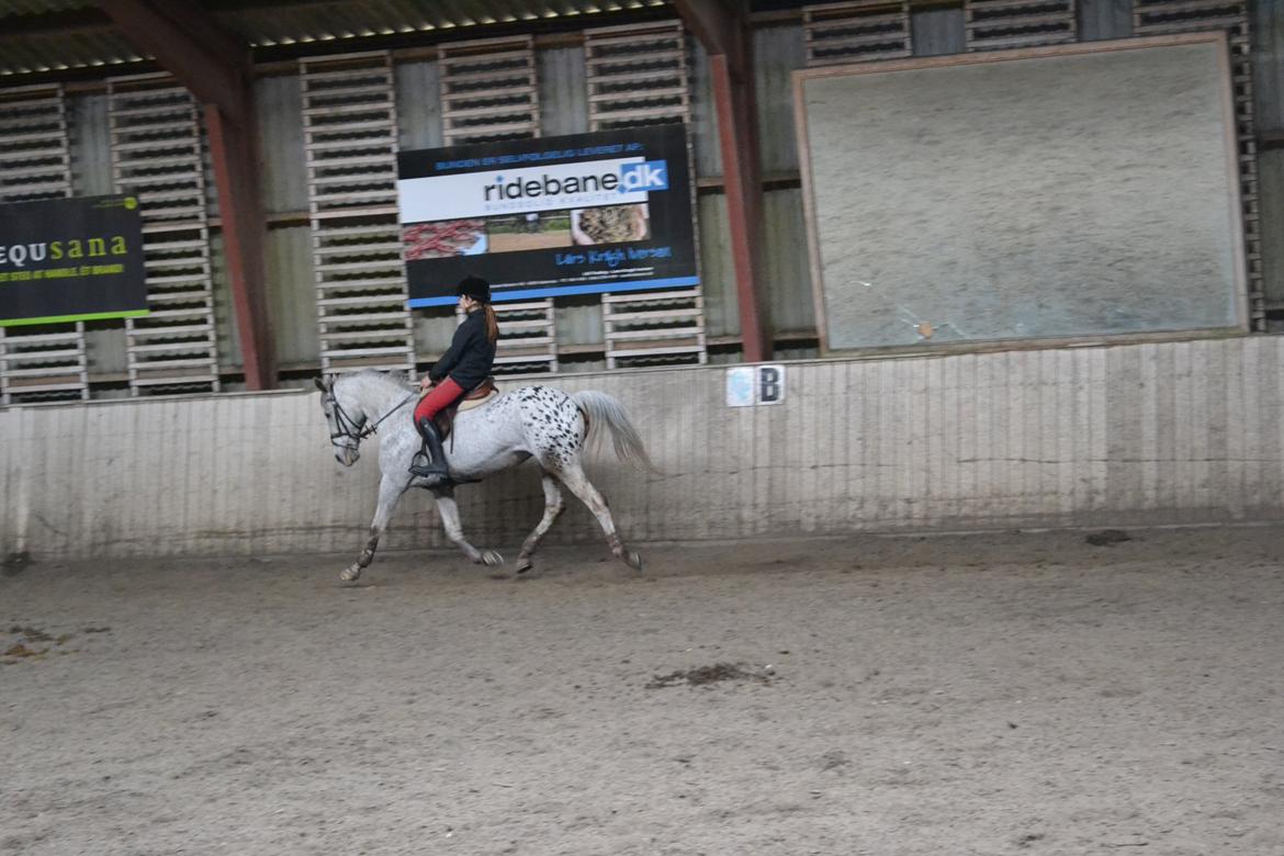 Til Solveig Malmkjær billede 42