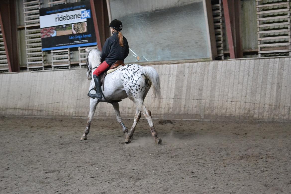 Til Solveig Malmkjær billede 43