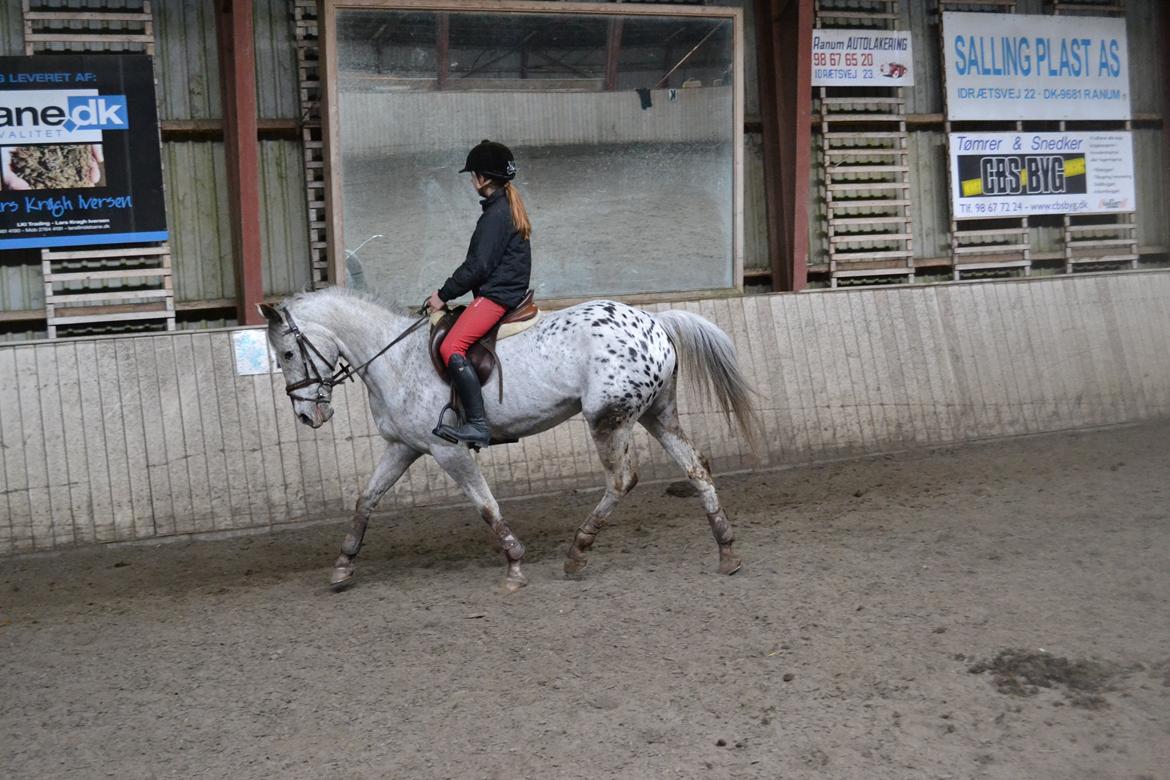 Til Solveig Malmkjær billede 44