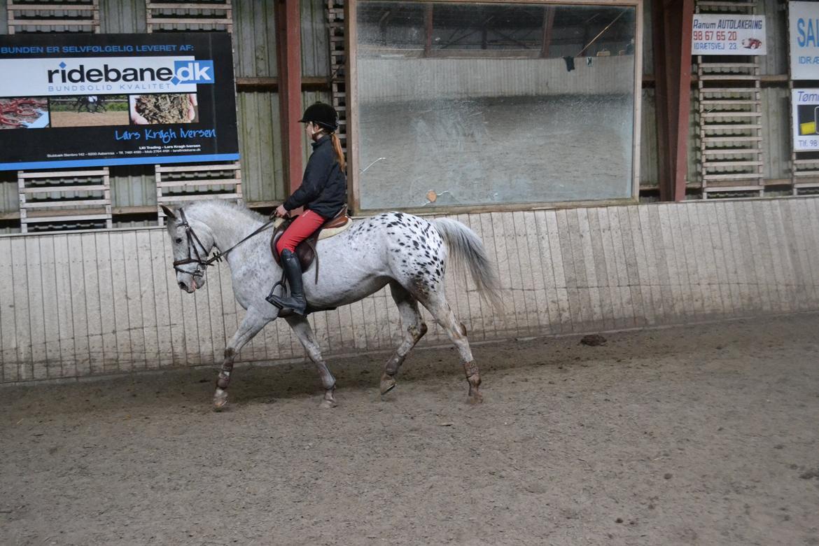 Til Solveig Malmkjær billede 45