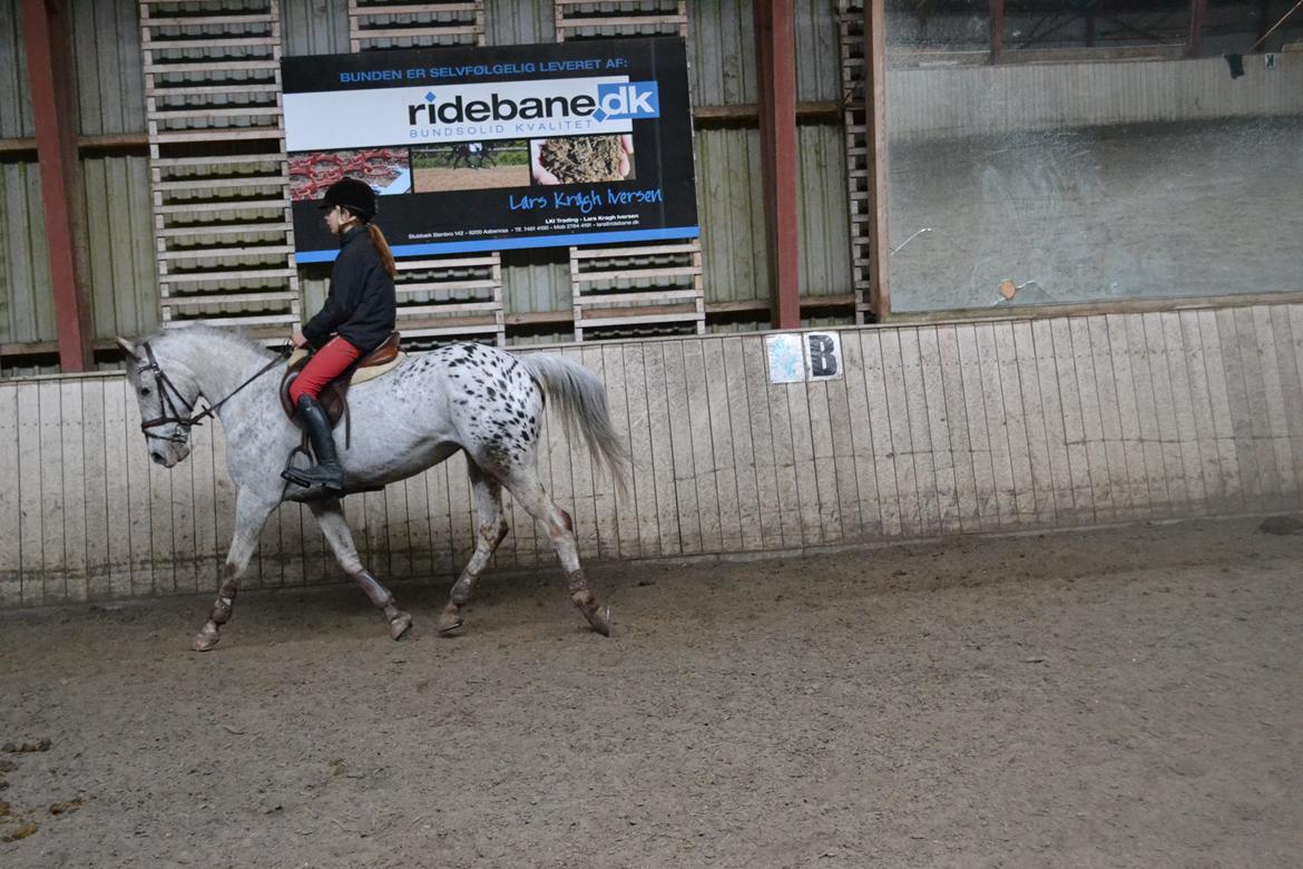 Til Solveig Malmkjær billede 46