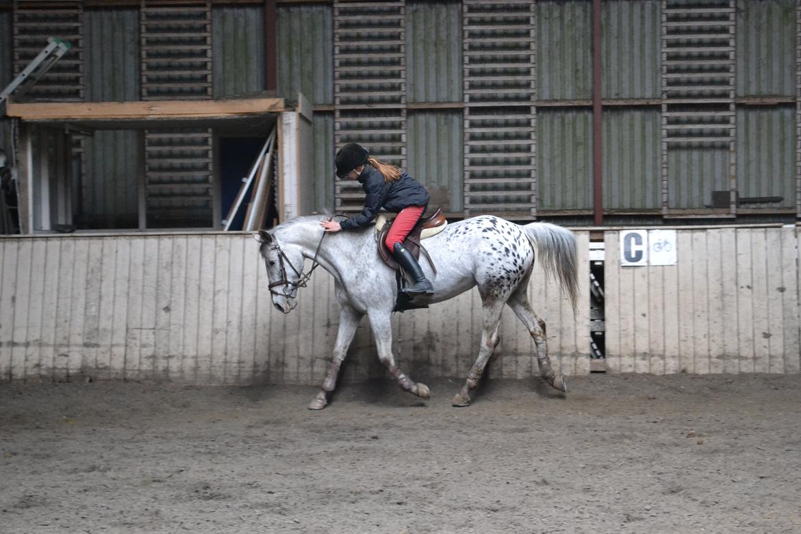 Til Solveig Malmkjær billede 47