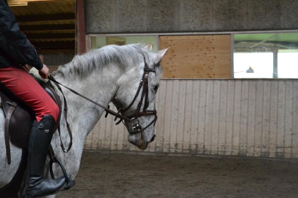 Til Solveig Malmkjær billede 48