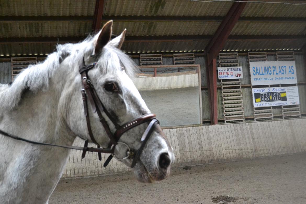 Til Solveig Malmkjær billede 49